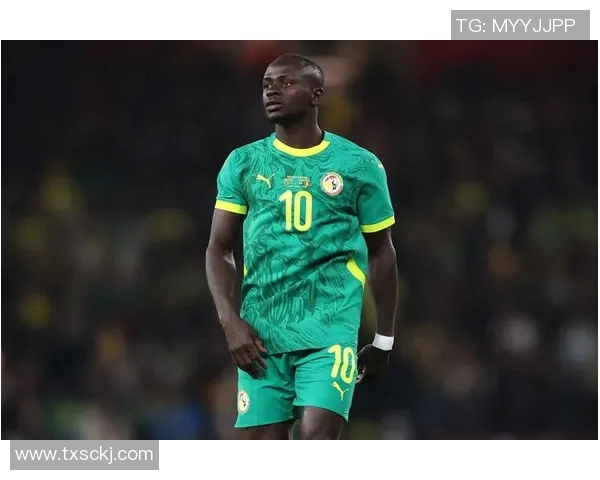 马内的足球之路：从非洲小村到世界舞台的传奇旅程